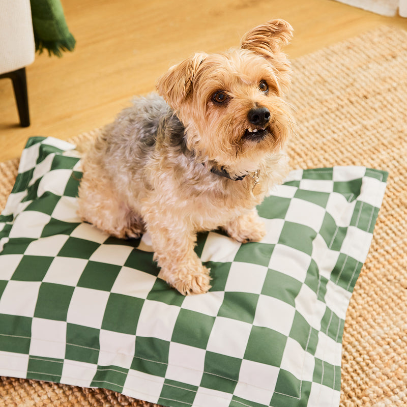 Pet Floor Cushion - Small - Checkerboard Stripe Sage Green